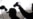 Groundwater Contamination In Japan