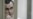 У здания правительства вывесили баннер в защиту Олега Сенцова