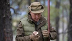 Лицом к событию. Шишки собирает, песенки поет Лицом к событию. Шишки собирает, песенки поет