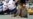 16x9 Image