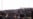 Kyrgyz Protests Target Presidential Son