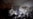 HRW: Syrian Missiles Killing Children