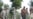 Mounting Violence Threatens Vital Pakistan/Afghanistan Link