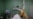16x9 Image