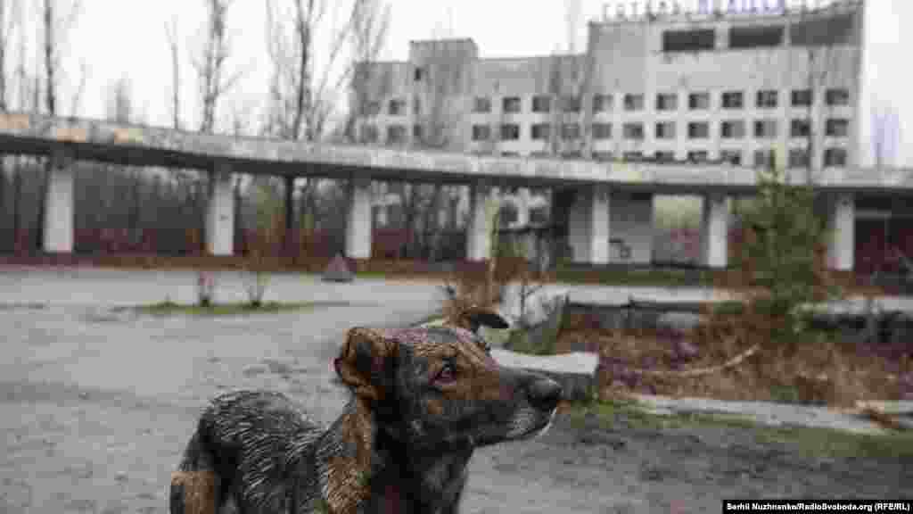 «Ассоциация чернобыльских туроператоров» совместно с администрацией зоны отчуждения добиваются предоставления Припяти статуса «музея», памятника украинского значения и памятника ЮНЕСКО. Сейчас для этого готовят пакет документов