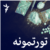 تورتمونه