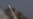 Iran Equips Navy With New Cruise Missile