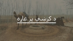 په شمالي وزیرستان کې د پولیو وایرس ولې نه ختمیږي؟ په شمالي وزیرستان کې د پولیو وایرس ولې نه ختمیږي؟
