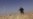 Video May Show Iranian Fighters In Syria