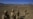 Eight U.S. Troops Killed In East Afghan Battle