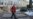 Зоопарк «без благословения»
