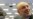 Iran Atomic Chief 'Optimistic' On Talks