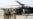'Good Chance' Top Taliban Figure Captured