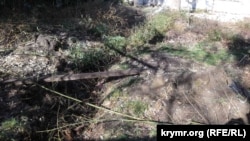 В Ялте на набережной снесли бамбуковую рощу под организацию шахматной аллеи.