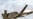 U.S. Drone 'Kills' Own Troops