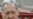 Pro-Bakiev MPs Back Impeachment