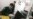 Turkmenistan Clips Wings Of Citizens Fleeing Economic Woes