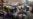 Russian Group Says Hate-Crime Drop Shows Extremist Group Transformation