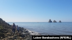 Побережье Сахалина (архивное фото).