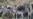 HRW Says Refugees At Risk In Uzbekistan