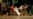 16x9 Image