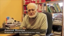 Яблоков.Никель Яблоков.Никель