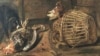 Фрагмент картины Габриэля Метсю "Торговка дичью"