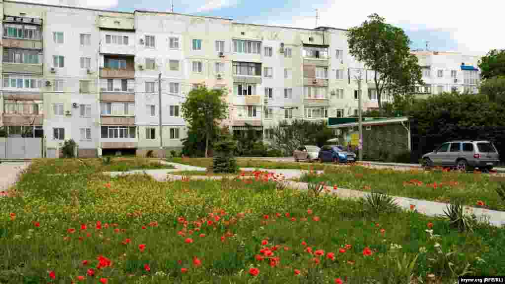 Красные маки на улице Севастопольской, ведущей к морю. Здесь преобладают типовые блочные пятиэтажки, где еще с советских времен проживали семьи военнослужащих местного авиагарнизона  
