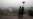 Tehran Battles Air Pollution