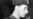 Russian Court Rejects Suit By Wallenberg Relatives Seeking Archive Documents