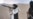 Turning Point For Taliban?