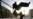 Balkans: The Dimming 'European Perspectives'