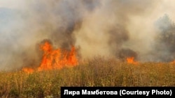 Пожары в Башкортостане, 9 августа 2021 года