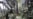 Russian Officials In Iran For Bushehr Talks