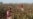 Uzbek Boy, 6, Dies In Cotton Harvest