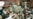 16x9 Image