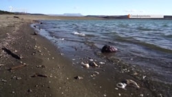Обмеление, мусор и рыбаки: Симферопольское водохранилище после бесснежной зимы (видео) Обмеление, мусор и рыбаки: Симферопольское водохранилище после бесснежной зимы (видео)