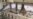 16x9 Image