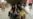 16x9 Image