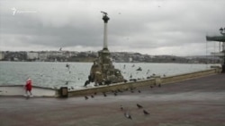 Стаи голубей и одинокий бродячий пес: Севастополь после шторма (видео) Стаи голубей и одинокий бродячий пес: Севастополь после шторма (видео)