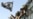 Egypt, Israel Make Prisoner Swap