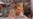 Tymoshenko Health Said Improved