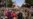 16x9 Image