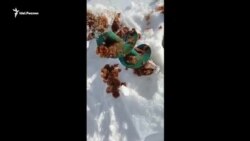 Фекалии и нечистоты в Волге у Казани... Фекалии и нечистоты в Волге у Казани...