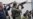 Ukraine Says Forces 'On Full Combat Alert'