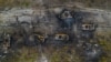 Разрушенная военная техника. Украина. Март 2022 год