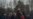 В Москве полиция снесла палатку защитников парка "Торфянка"