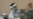 Guantanamo Confession Requests Raise Questions