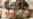 Qaddafi Forces Attack Rebel Stronghold