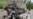 At Least 30 People Killed In Latest Pakistan Violence